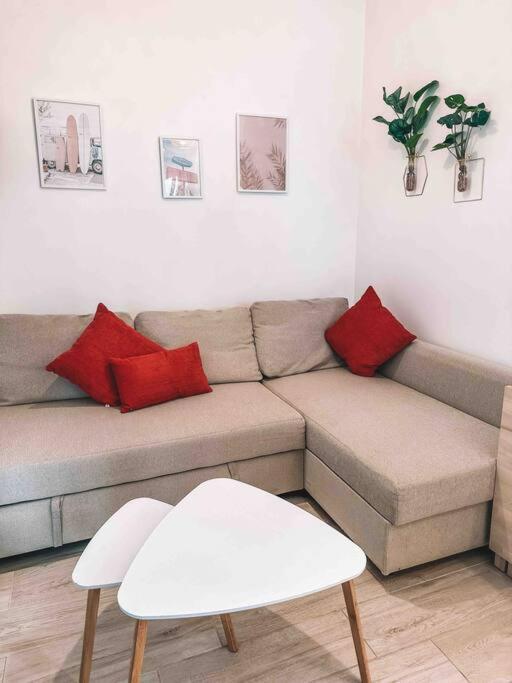 Paradise House ארקודי